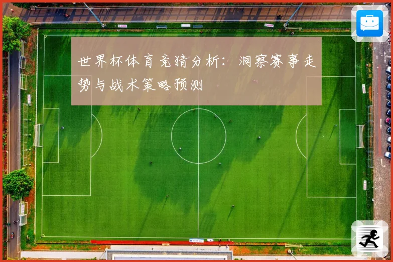 世界杯体育竞猜分析：洞察赛事走势与战术策略预测